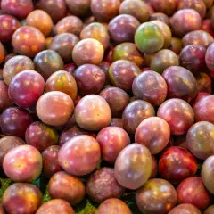 Sezon na marakuję: Kiedy smakuje najlepiej? Poradnik