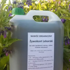 Gdzie kupić nawóz z żywokostu? Sprawdź ceny i sklepy