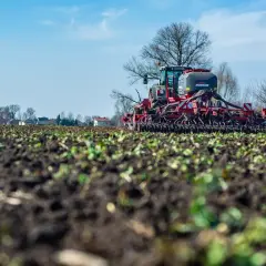 Nawóz bezchlorkowy: Klucz do lepszych plonów i zdrowej gleby