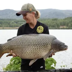 Sezon na karpia: Kiedy łowić, a kiedy kupić?