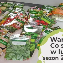 Co siać w styczniu i lutym? Przyspiesz wiosnę w ogrodzie!