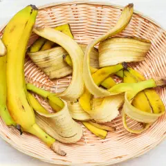 Jak rozcieńczać nawóz z banana? Proporcje 1:1 i 1:10