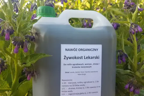Gdzie kupić nawóz z żywokostu? Sprawdź ceny i sklepy
