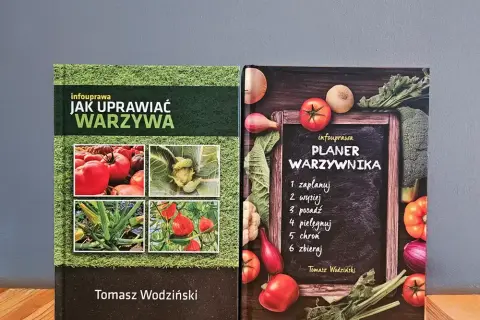 Jak uprawiać warzywa? Poradnik krok po kroku dla początkujących