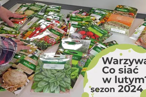 Co siać w styczniu i lutym? Przyspiesz wiosnę w ogrodzie!
