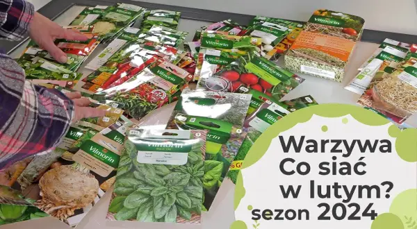 Co siać w styczniu i lutym? Przyspiesz wiosnę w ogrodzie!