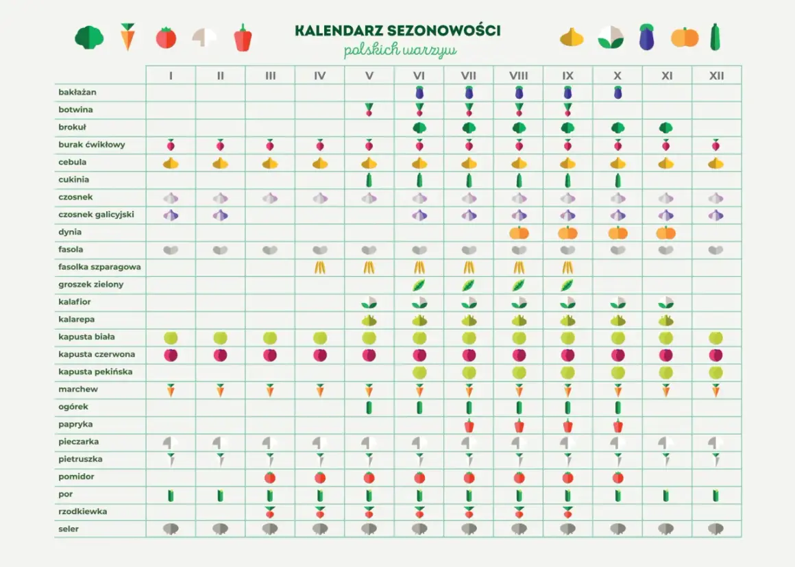 Sezon na fasolkę szparagową: kiedy jest najtańsza i najlepsza?