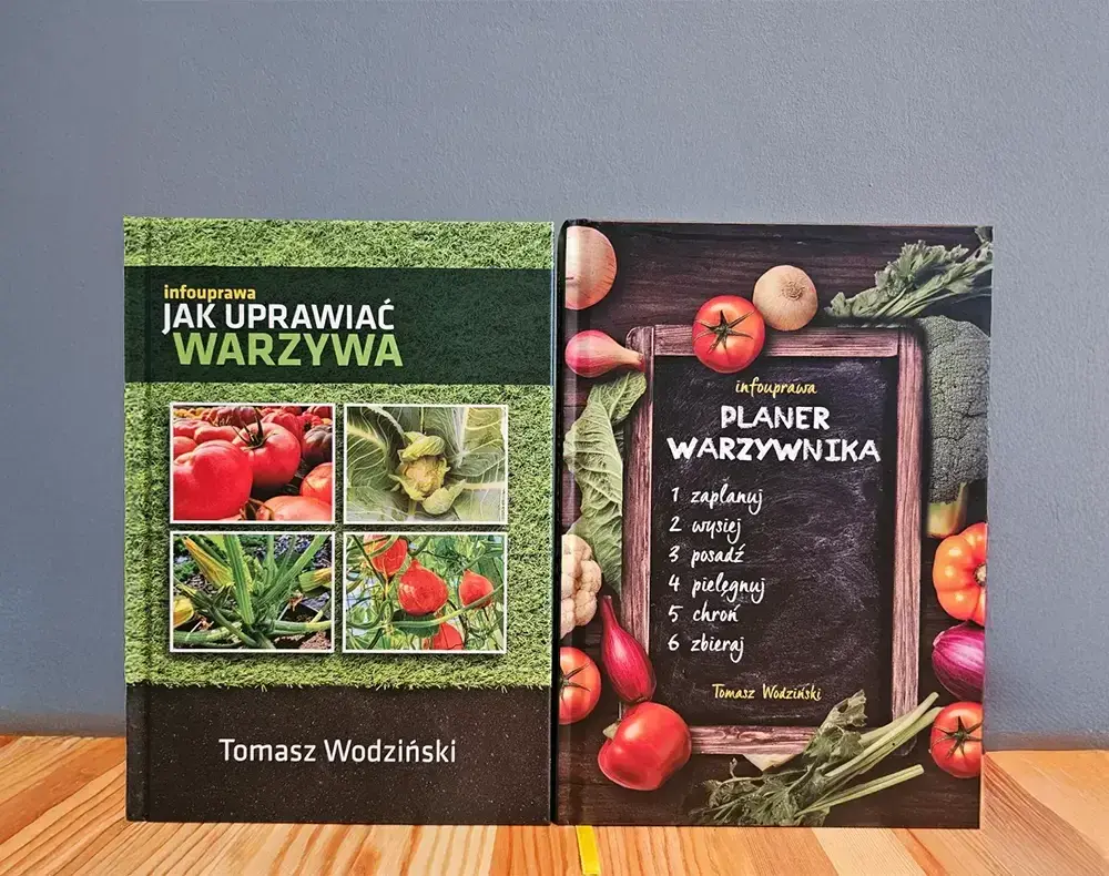 Jak uprawiać warzywa? Poradnik krok po kroku dla początkujących