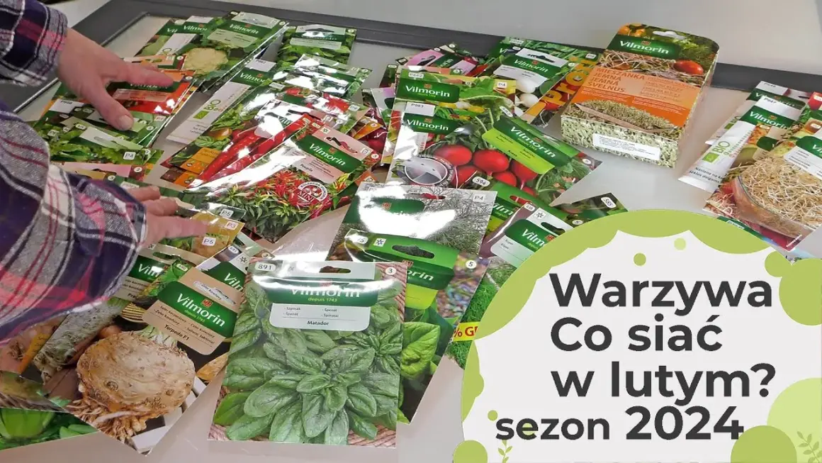 Co siać w styczniu i lutym? Przyspiesz wiosnę w ogrodzie!