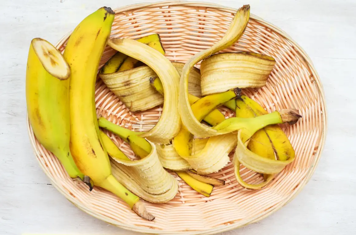 Jak rozcieńczać nawóz z banana? Proporcje 1:1 i 1:10