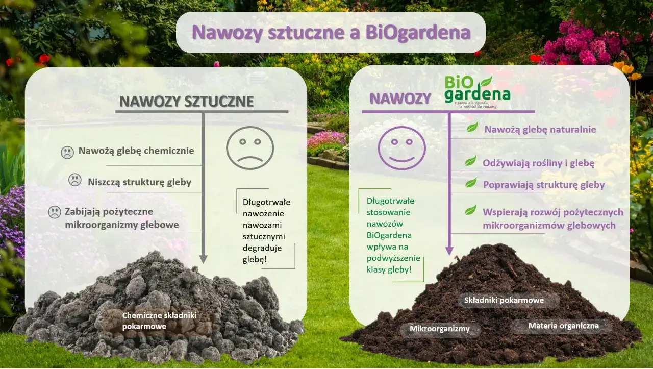 Rodzaje nawozów naturalnych infografika