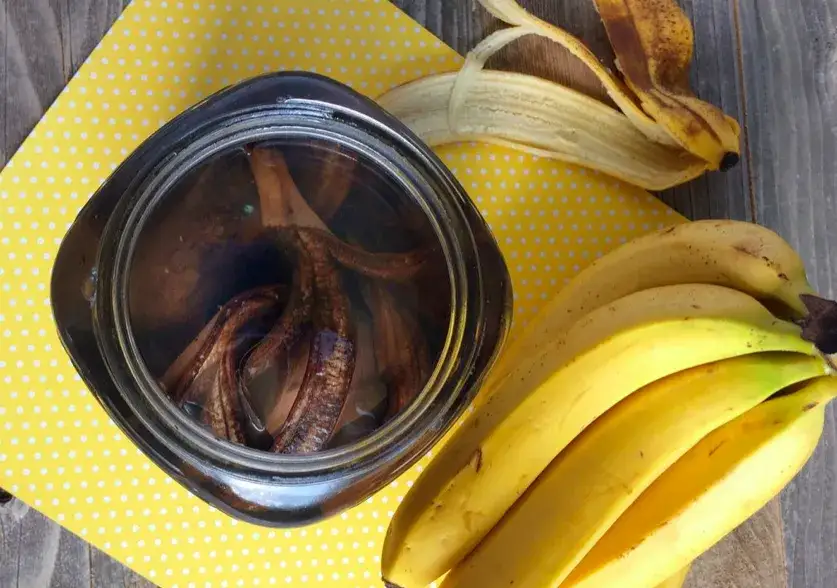 domowy nawóz ze skórek banana różne metody