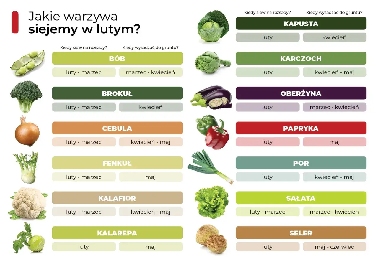 Zdjęcie Co siać w styczniu i lutym? Przyspiesz wiosnę w ogrodzie!