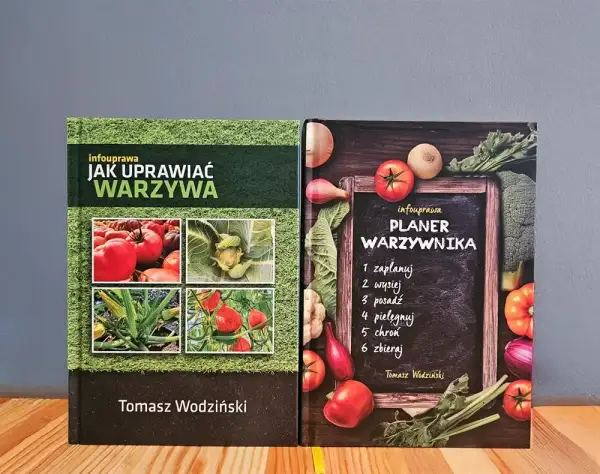 Jak uprawiać warzywa? Poradnik krok po kroku dla początkujących