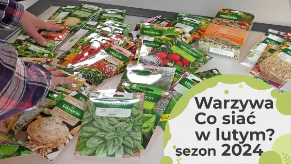 Co siać w styczniu i lutym? Przyspiesz wiosnę w ogrodzie!