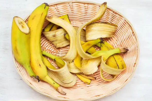 Jak rozcieńczać nawóz z banana? Proporcje 1:1 i 1:10